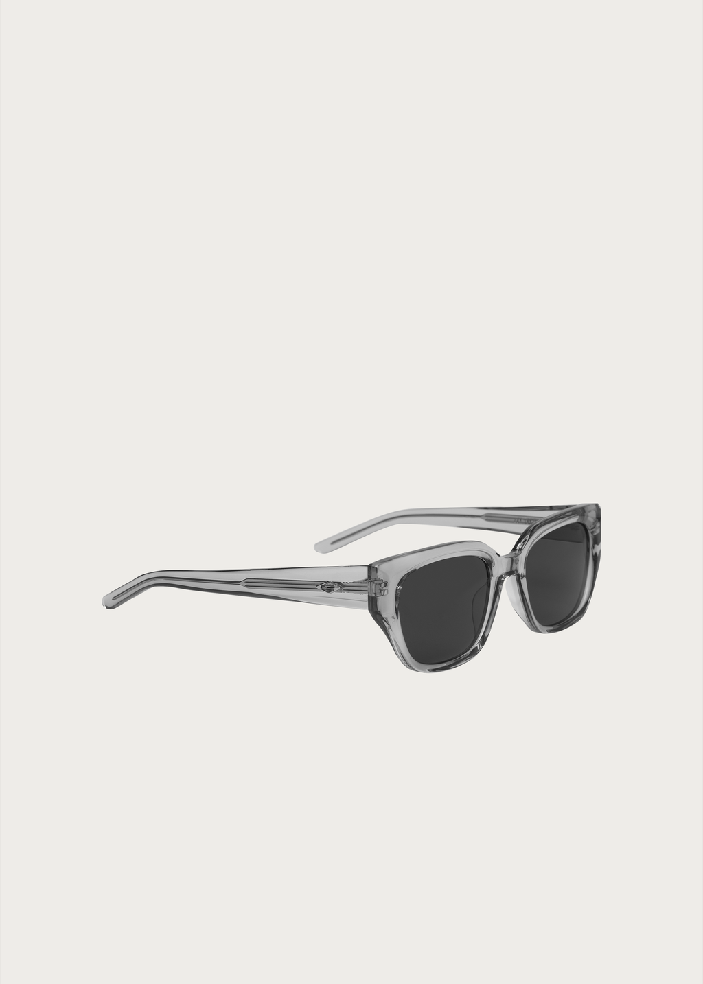 Rove Sunglasses Transparent Gray