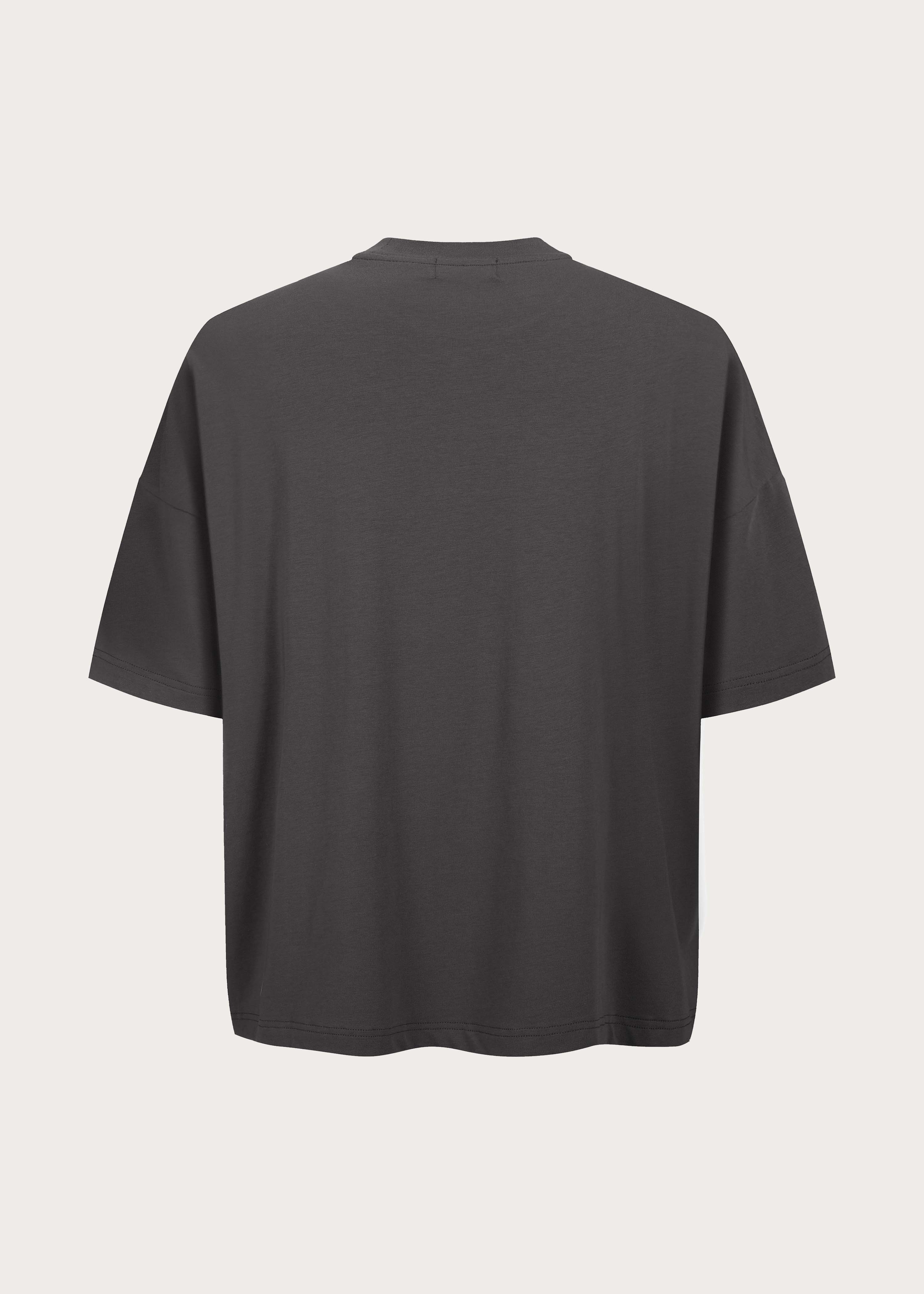 T-Shirt Gray